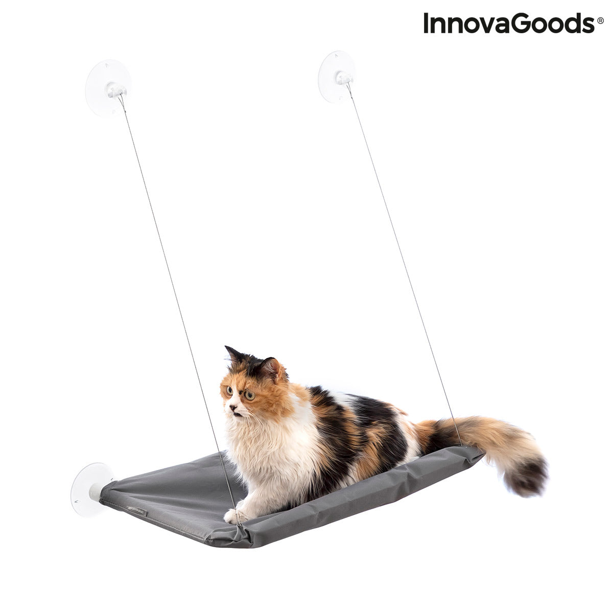 🐱 Hamac suspendu pour chat – Confort, détente et style