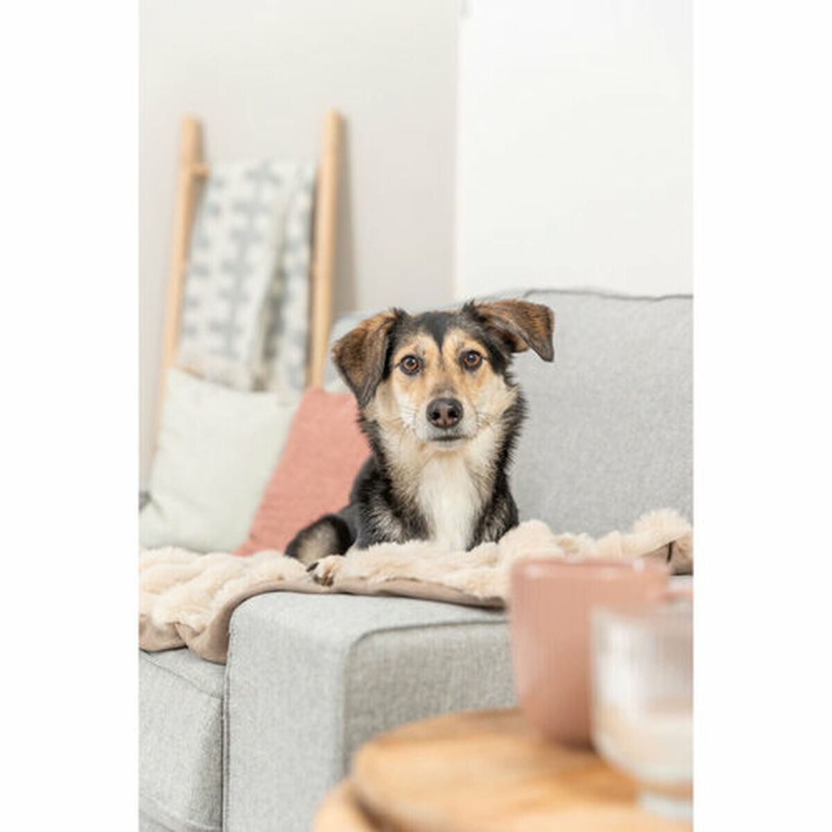 Couverture pour animaux de compagnie Trixie Elli Sable Polyester 70 × 50 cm