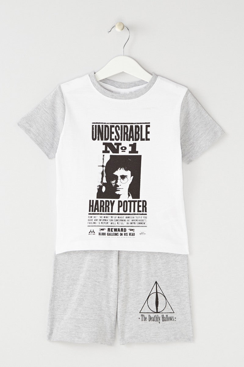 Ensemble harry potter