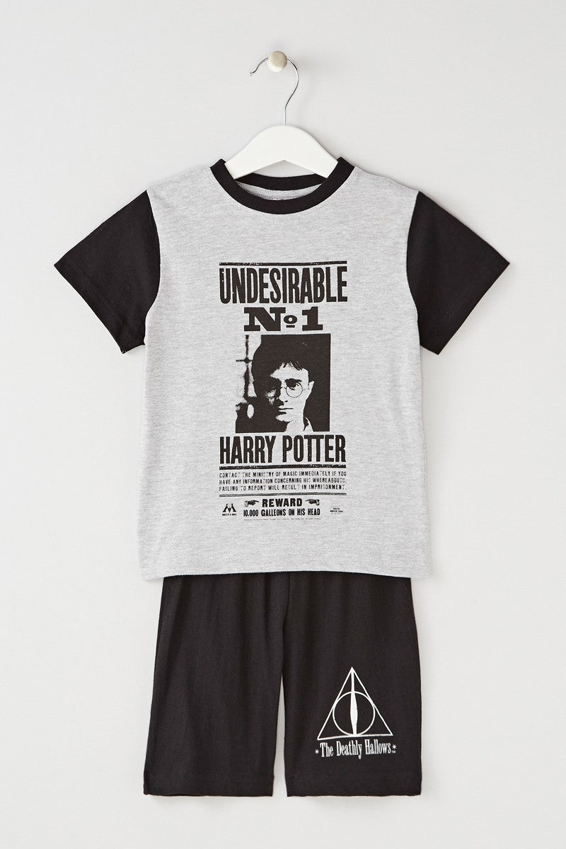 Ensemble harry potter