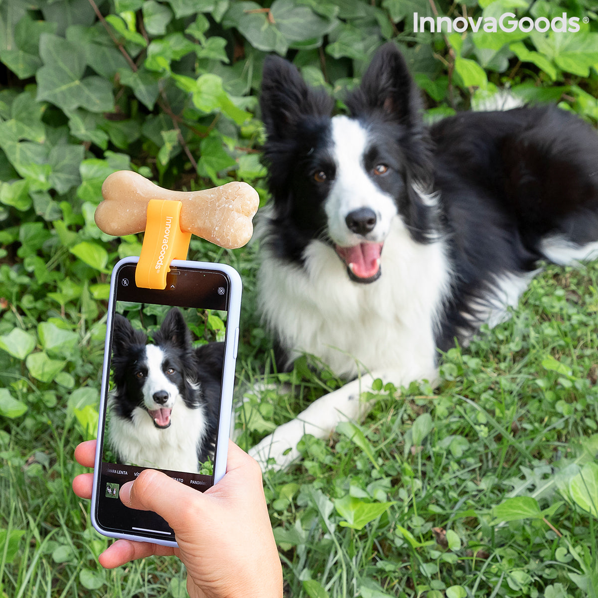 Clip pour Selfies pour Animaux Familiers Pefie InnovaGoods